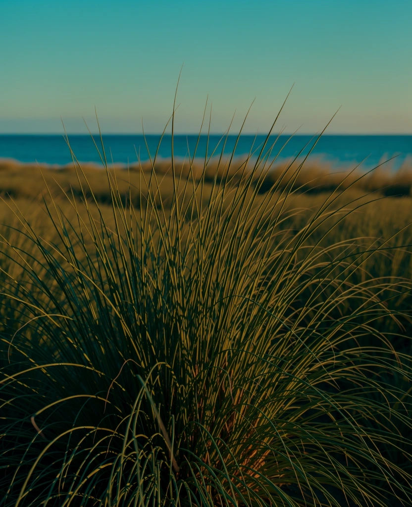 Dune vegetation on Michigan shore